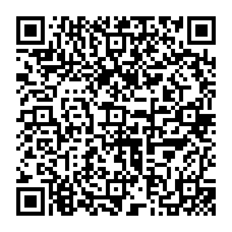 79631556299