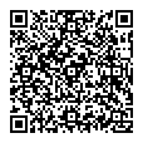 79631556304
