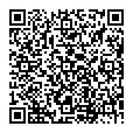 79631556333