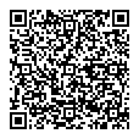 79631556339