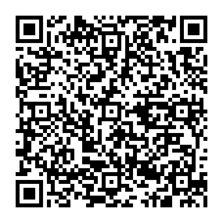 79631556354