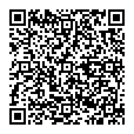 79631556355