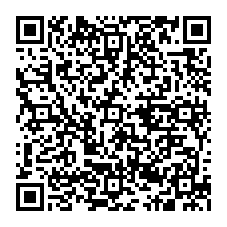 79631556381