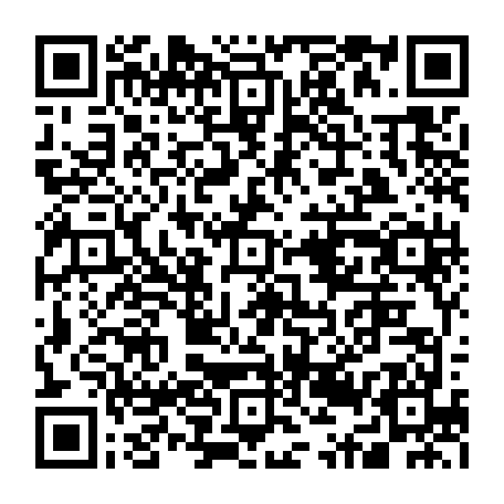 79631556453