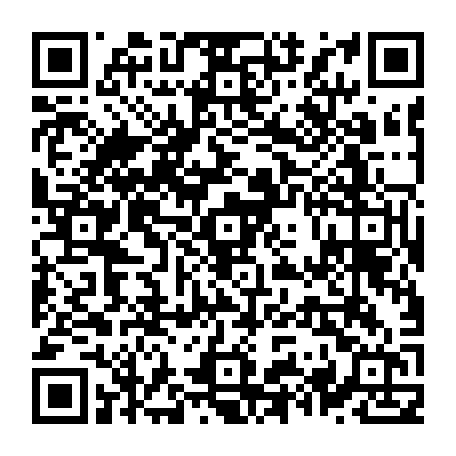 79631556495