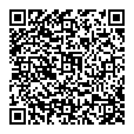 79631556501