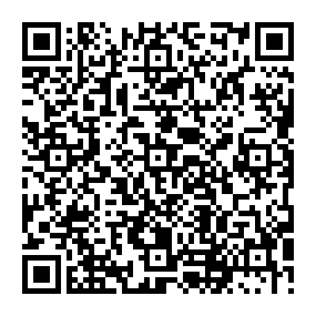 79631556502