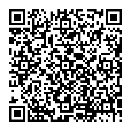 79631556504