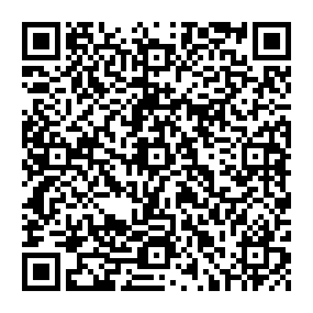 79631556537