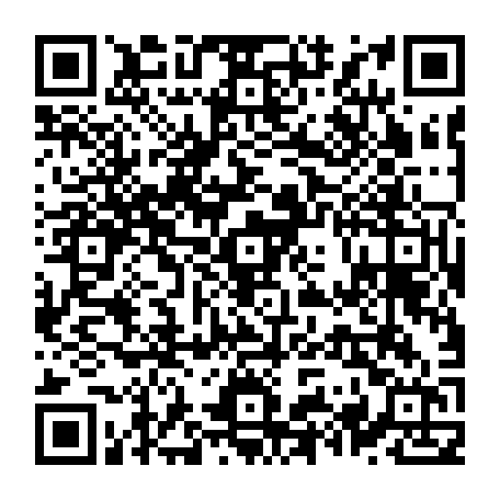 79631556538
