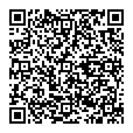 79631556555