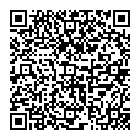 79631556581
