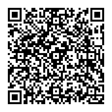 79631556588