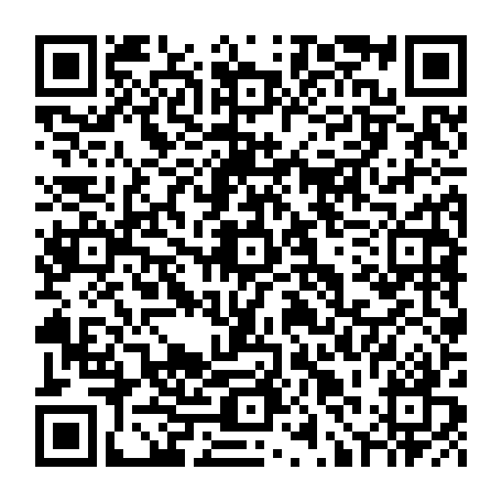 79631556591