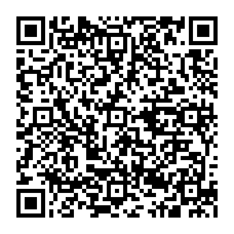 79631556628