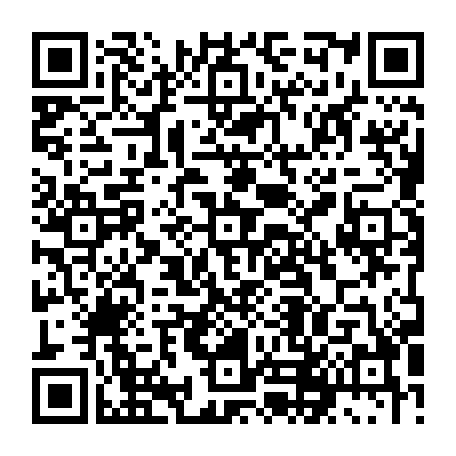 79631556638