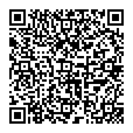 79631556675