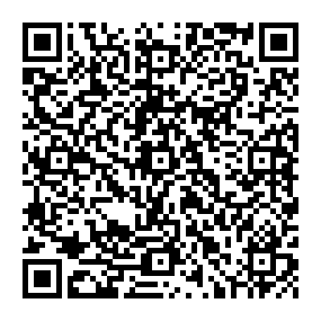 79631556690