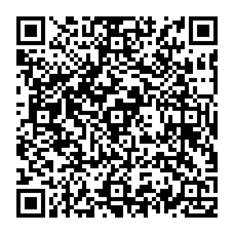 79631556691