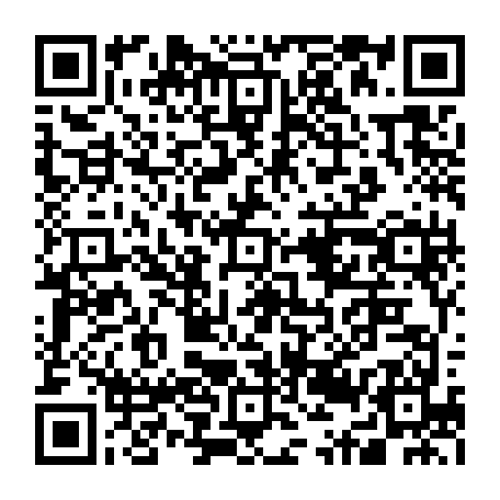 79631556831