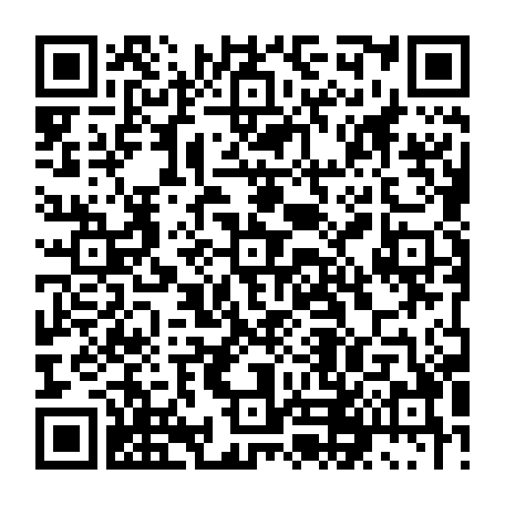79631556881