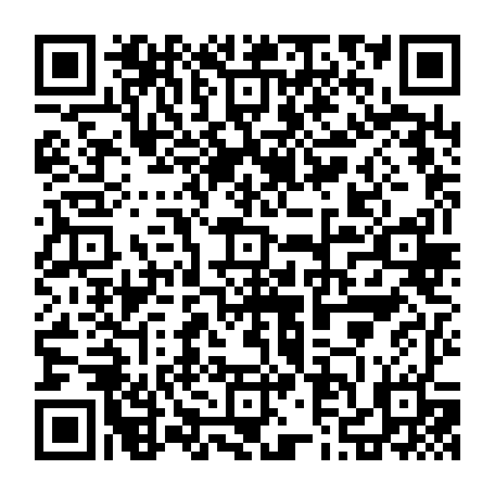 79631557211