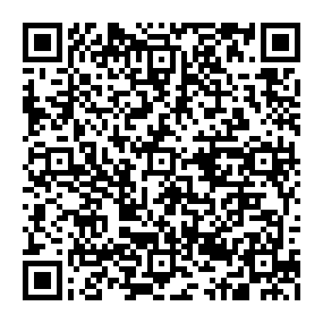79631557216