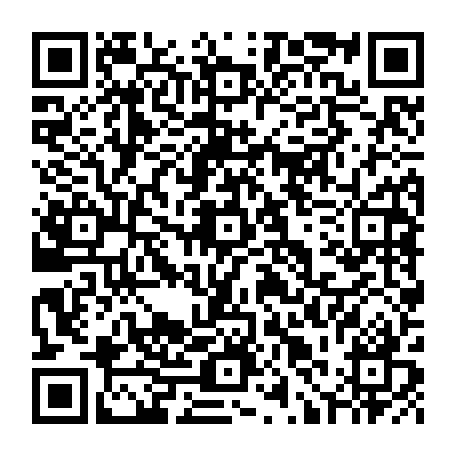 79631557217