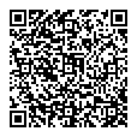 79631557238