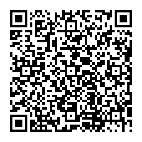 79631557251