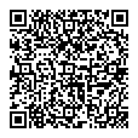 79631557287