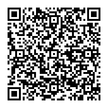 79631557293