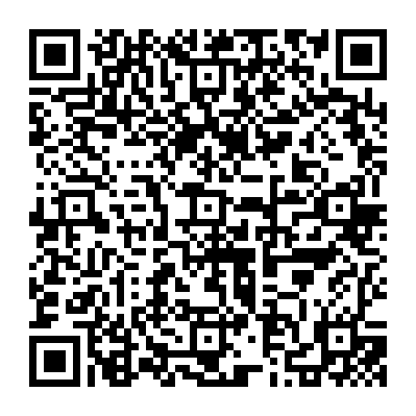 79631557311