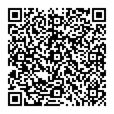 79631557339