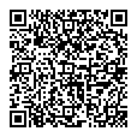 79631557355