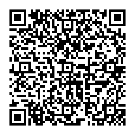 79631557386