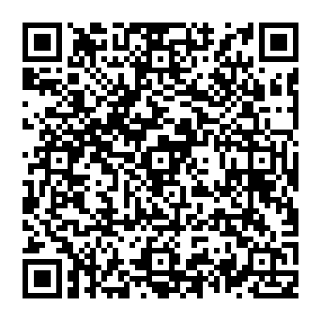 79631557488