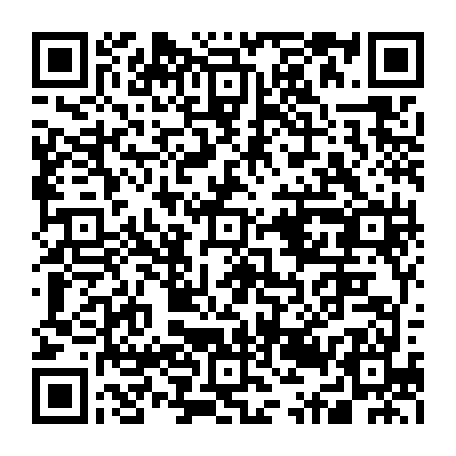 79631558081