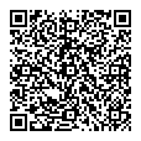 79631558480