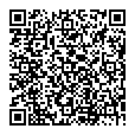 79631558517