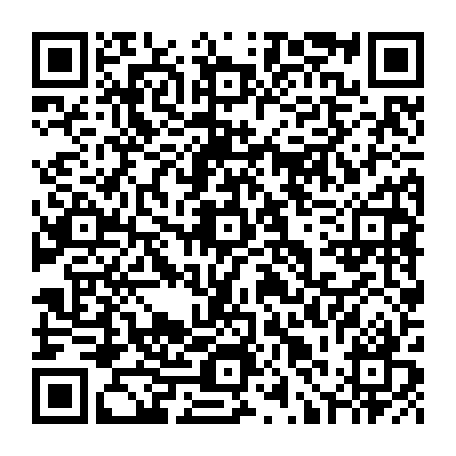 79631558532