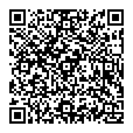 79631558555