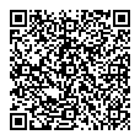 79631558589