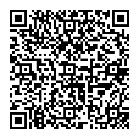 79631558637