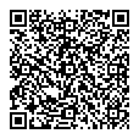 79631569811