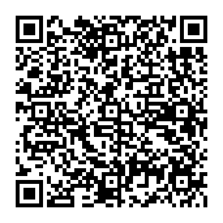 79631572161