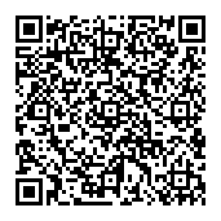 79631572294