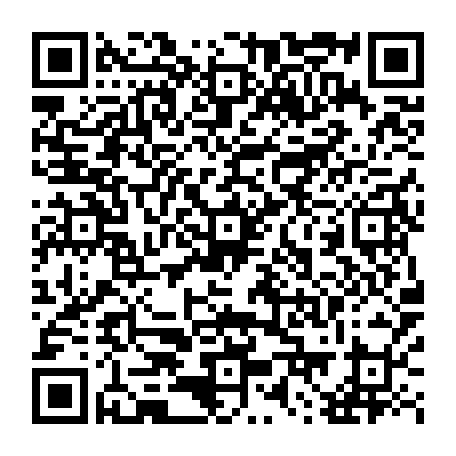 79631590337