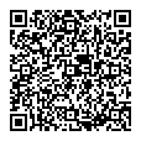 79631590656