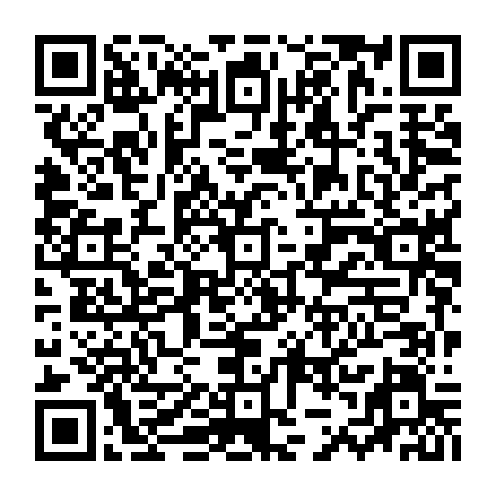 79631590855